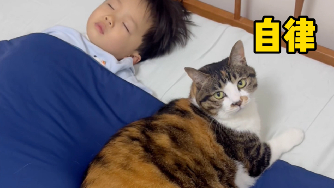 11岁猪咪高能量带娃的一天！