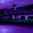 -dingus- - Purple