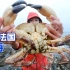 在法国赶海，湿身大战5斤重巨型螃蟹，大钳子够吓人