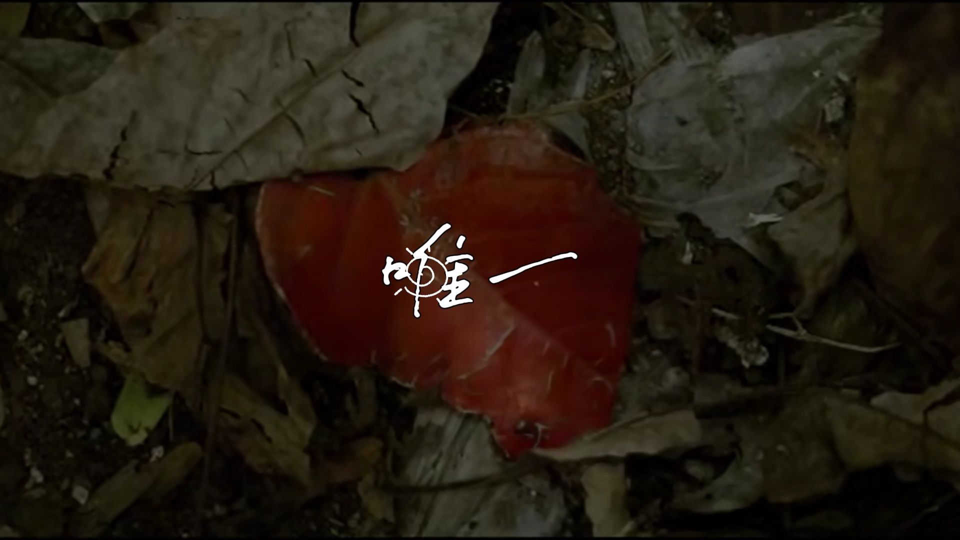 邓紫棋-唯一【伴奏】-表演可用【无水印】