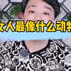 女人最像什么动物