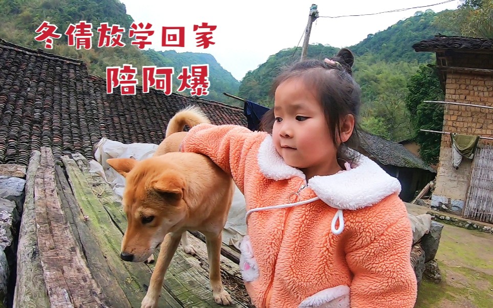 讨论精选:小孩放学回家想找阿火，发现喜欢的狗狗不见了，她抱着阿爆很不开心[一次目更~]的第1张示图