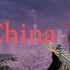 枪声 - China-X