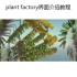 plant factory 革命性植物教程