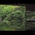 ”隐约雷鸣，阴霾天空“阴翳之美·日式庭院
