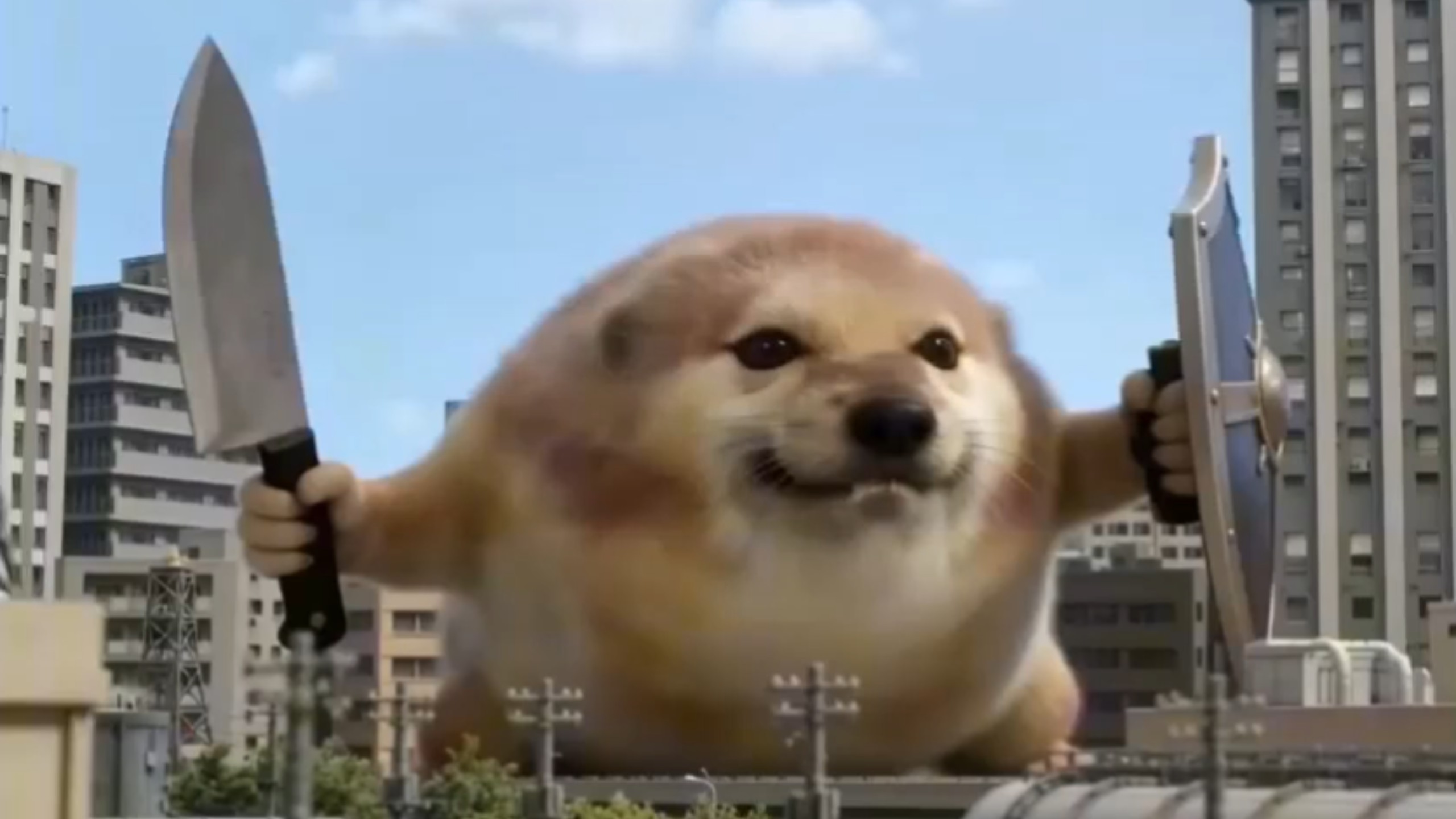 我的刀盾