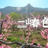 【一山春色】4k 沂蒙山的桃花正盛开，这个BGM，满满的回忆啊