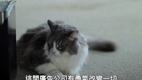 80c0731216c4153ffb45e5eb1c0a53d638904ebc.jpg@280w_158h_1c_100q.jpg