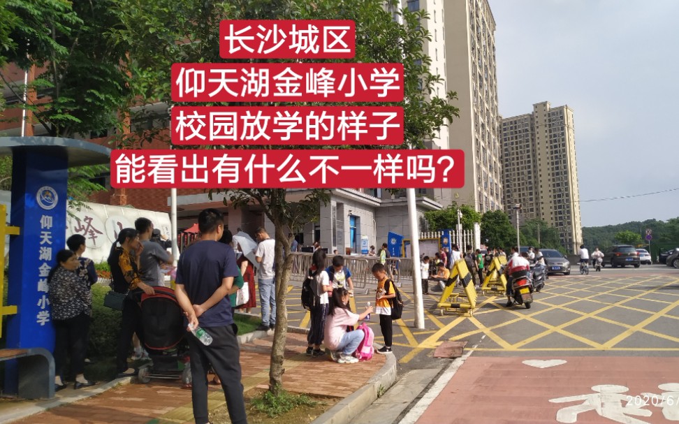 长沙城区仰天湖金峰小学校园放学的样子能看出有什么不一样吗