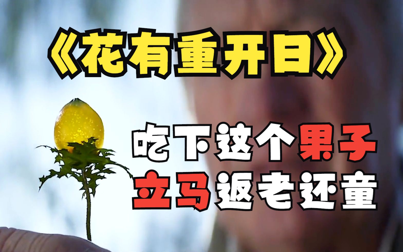 返老还童后 你会做什么疯狂的事呢 一口气看完《花有重开日》哔哩哔哩bilibili