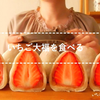 ☆ つくるたべるハナメ ☆ 特大日本草莓大福 ASMR食音咀嚼音（新