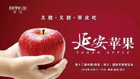 80f4a592507ca1088c5700a5af8b6fe6ab0b6f12.jpg@280w_158h_1c_100q.jpg