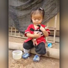 可爱小女孩给小鸡鸡洗澡