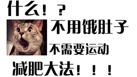 怎么样可以增肥 8119786dfd7c956ef41573e8fd94787eb7d37941.jpg@280w_158h_1c_100q.jpg