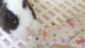 811da1b151705dbb1b43f93c47f65edac004f0d4.jpg@280w_158h_1c_100q.jpg