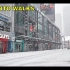 【4K】步行体验 / 多伦多之冬，步行在暴风雪中。2021-01-26，Yonge St