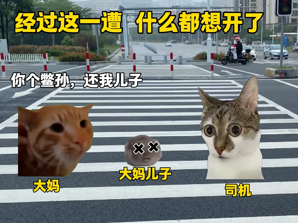 经过这一遭 什么都想开了...