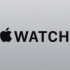 【Apple Watch】听说魅族很叼？