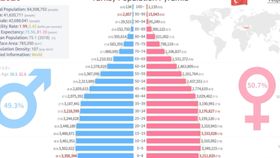 中国人口金字塔2021_人口金字塔 中国人口收入金字塔(3)