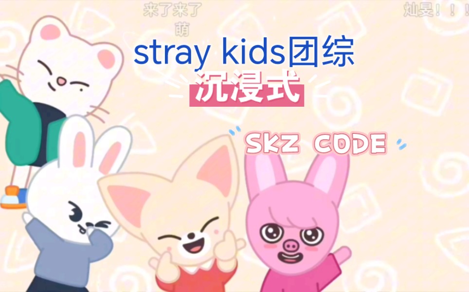 【stray kids/SKZ CODE】沉浸式re团综，中间一段有点厌蠢症的别看，显得我有点痴呆