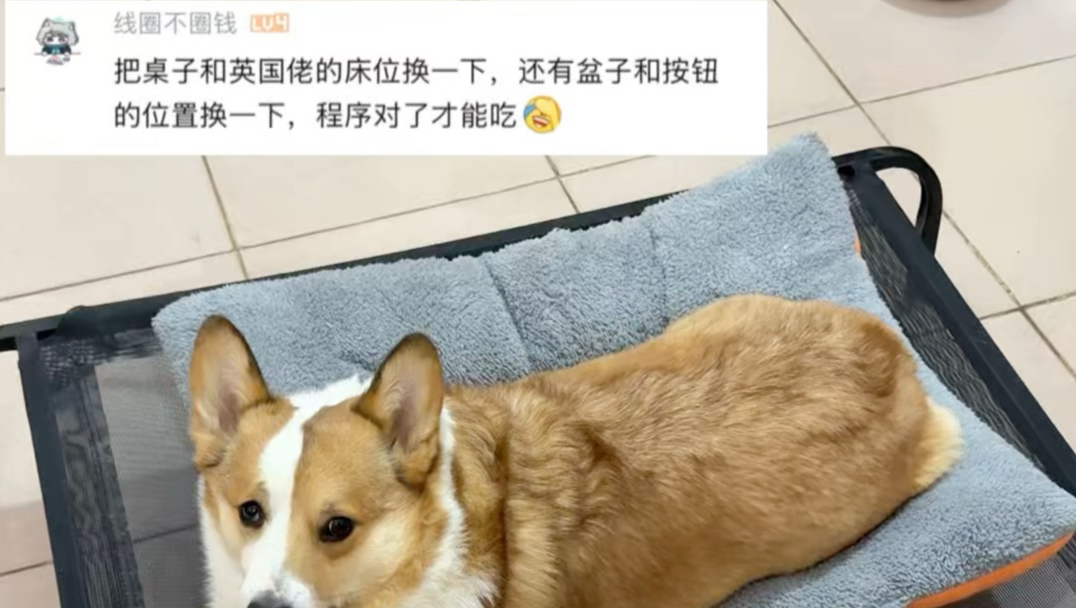 必须按照程序走