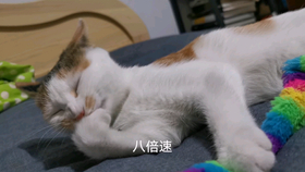 8188e3e1f3e51d81ef7bd747c14bd780a0ec686e.png@280w_158h_1c_100q.jpg