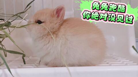 819b263535f528aa46c35d10a27cc32ee8dcb14b.jpg@480w_270h_1c