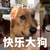 快乐大狗合集 Pt