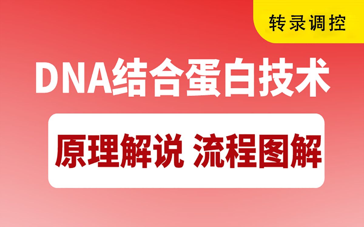 【转录调控】EMSA实验，DNA结合蛋白技术原理详细解说，实验流程图解