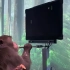 脑机接口新玩法 马斯克的猴子用意念玩游戏