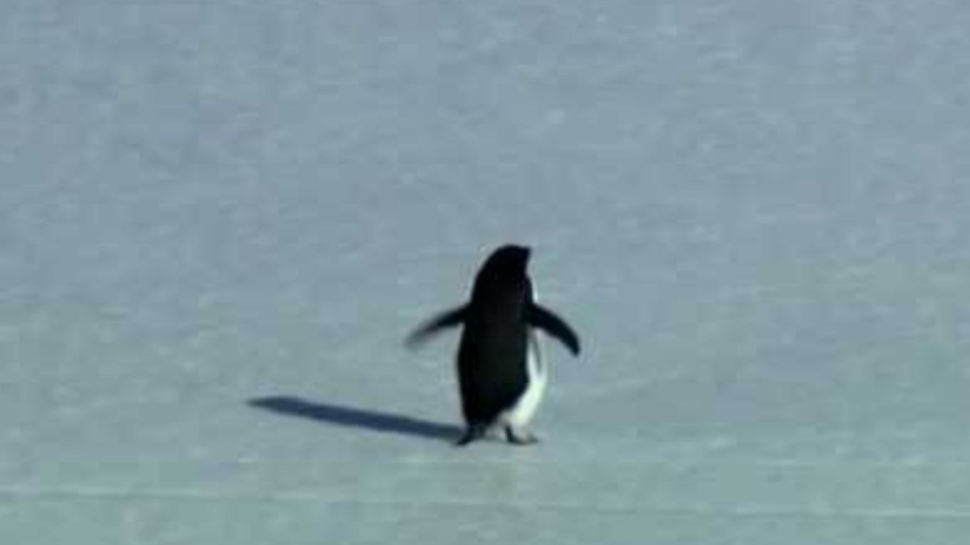 就是感觉不是很对劲，朋友...