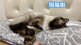 81bf0e80093917312e98efab6ca21405a0ae35a0.jpg@280w_158h_1c_100q.jpg