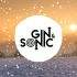 【国外混音大赏】Gin&Sonic 八月Future House Mix