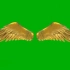 绿幕视频素材彩色翅膀