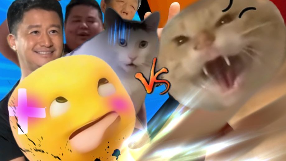 【特效向】暴⚡️风⚡️星⚡️云⚡️裂⚡️喵啊啊啊啊！！！