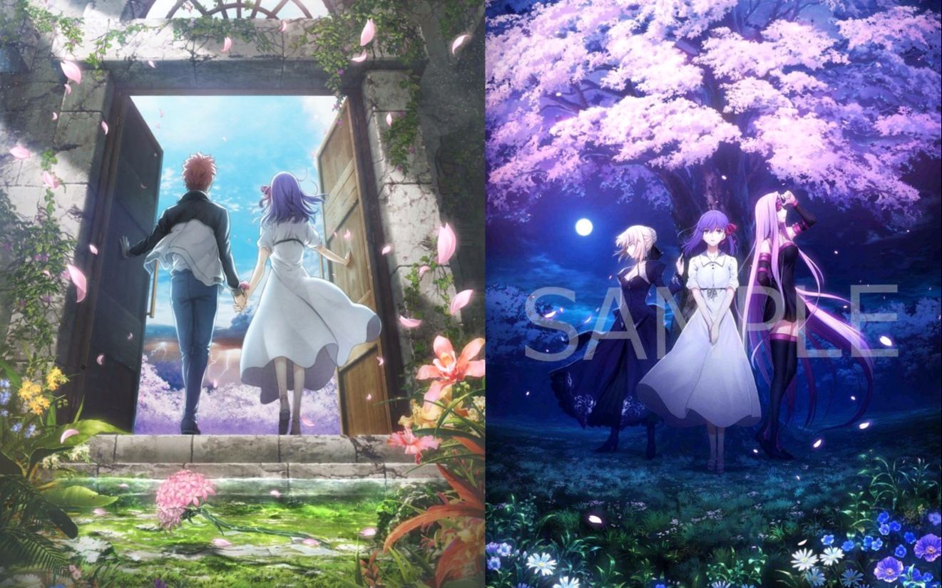 剧场版fatestaynightheavensfeelⅢspringsong特报第1弾自制字幕1080p