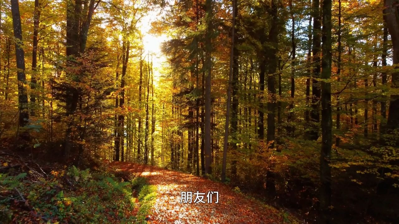 不传之秘的入睡法门，三步助你守魄安魂，从根本解决失眠与睡眠质量差的困扰！