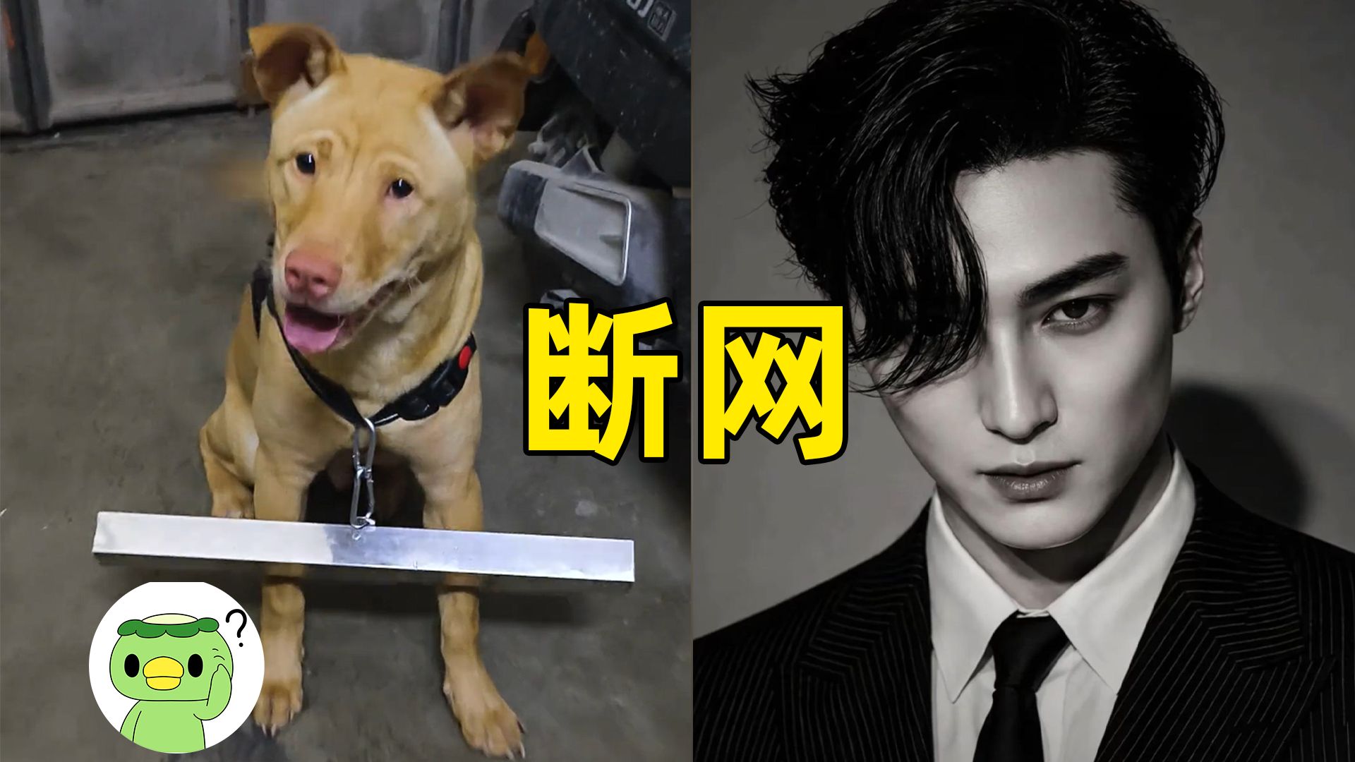【断网补全计划135】被雪藏的king是真是假？狗狗限速器，止战之殇作文，千禧未来风格，AI修复童年心里创伤，华强买瓜二创，赵鸿刚被解约，国际足联急了？