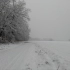 一场猛烈的暴风雪，在茫茫的原野上，听狂风呼啸，和雪粒落下的声音