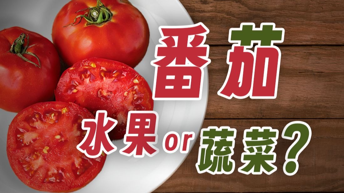 【鬼谷闲谈】番茄：夺舍它人的命运