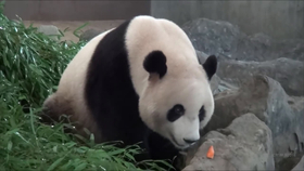 82ab75c328bb19f2b63ecce3196668d4e920ce87.jpg@280w_158h_1c_100q.jpg