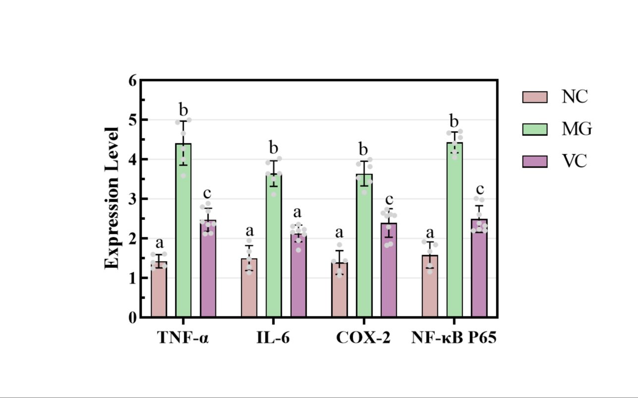 【研究生】Graphpad Prsim绘制多指标柱形图-散点+误差线-并标记显著性-字母标记法