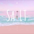 SALT - 海盐