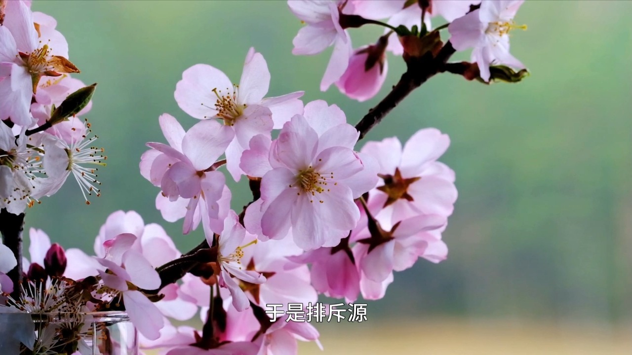 如何做到对无常的恐惧，真正做到於事无心，于心无事？自性本空，一物不立！