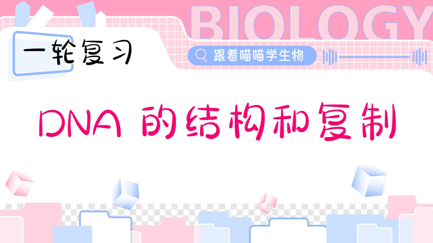 DNA的结构与复制【一轮复习】