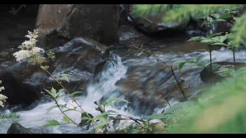 82dc59067ce051a93298d5d11810f70742f3df1e.jpg@480w_270h_1c