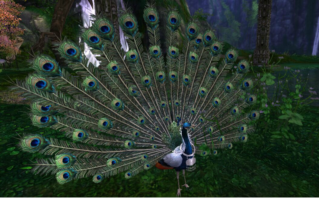 【剑网三】五毒门派跟宠之华羽视频在线观看_