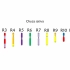 Karyotype changes （Oryza sativa L. to Sorghum bicolor L.）