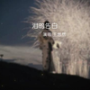下次见面真的只能靠运气了
