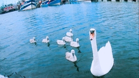 世界上著名的海峡运河 8319ce30fd851f86d25d8a60b6fbc1ddb70d161a.jpg@280w_158h_1c_100q.jpg